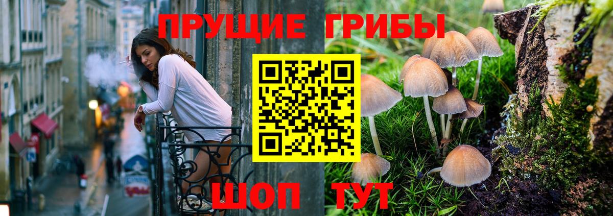Псилоцибиновые грибы MAGIC MUSHROOMS Видное